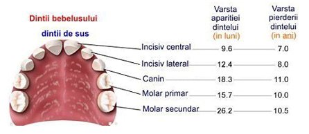 Dr. Craciun Mariana Constantina - cabinet stomatologic